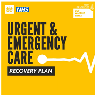 Urgent & Emergency Care Recovery Plan